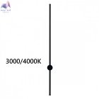 000001091909.jpg