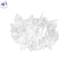 000001142616.jpg