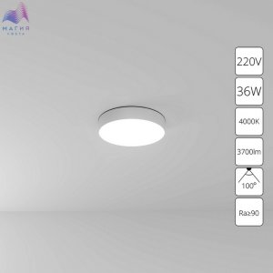 000001036442.jpg