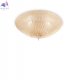 SHELL PL3 AMBRA