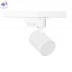CLT 0.31 001 60 WH