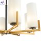 MOD089PL-08BS (4)