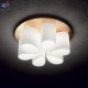 DAISY PL6 (2)
