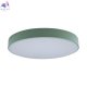 10002-24 Green