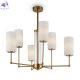 FR5184PL-06BS (2)