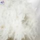 LSP-8603 (2)