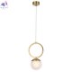 CAROLINA SP1 V1 BRASS (2)