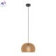 MOD195PL-01W