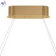 MOD336PL-L130G3K (4)
