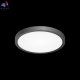 CL738181V (2)