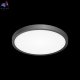 CL738241V (2)