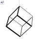 CL719301 (2)