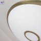 CL703A103G (10)