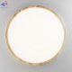 CL738322V (3)