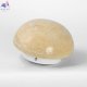 LSP-7329 (6)
