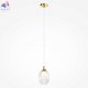 MOD016PL-01BS1