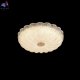 SOLARIS PL300 (3)