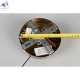 APL.039.06.06 (9)