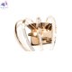 10300W French gold (3)