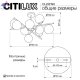 CL242193 (7)