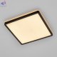 CL748K301 (4)