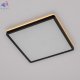 CL748K301 (5)