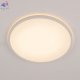 CL748400 (4)