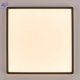 CL748K401 (4)