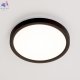 CL748181 (3)