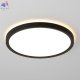 CL748241 (2)