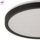 CL748241 (5)