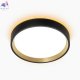 CL750181 (2)