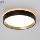 CL750181 (5)
