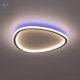 CL215B241E (3)