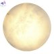 SL1019.401.01 (5)