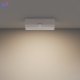 C133CL-12W3K-W (4)