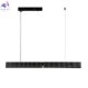 4007-02-10PL (6)