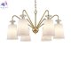 4626-С gold (2)