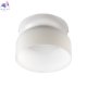 10466 Milky white