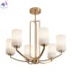 FR2059PL-06BS (2)