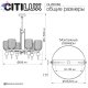 CL255163 (11)