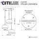 CL243031 (8)