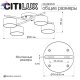 CL243141 (8)