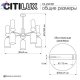 CL244151 (9)