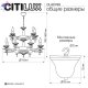 CL423193 (9)