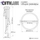 CL249031 (9)
