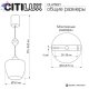CL475021 (8)