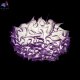 10593-780C Purple (2)