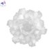 10595-530 White (7)