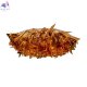 10593-780C Gold (3)